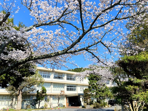 2026年4月ブログ用